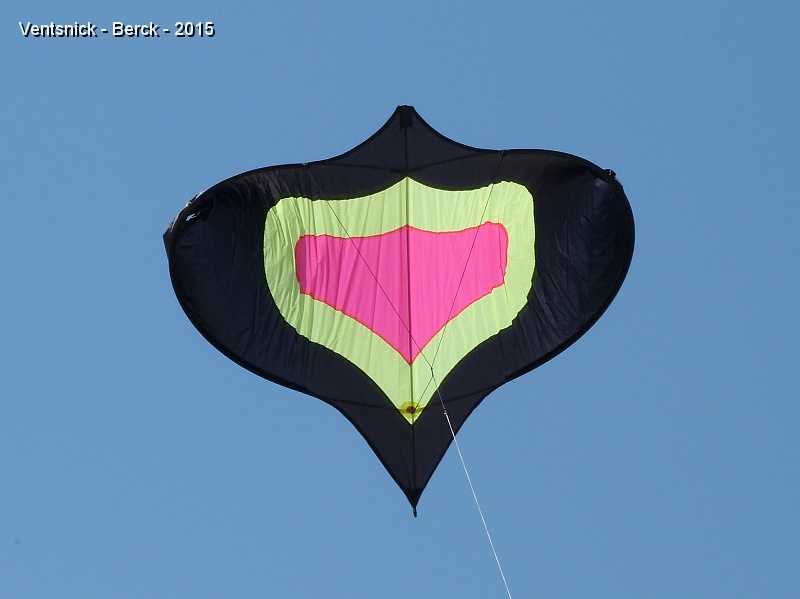 Tout là haut.jpg - Cerf-volant de Bob Cruikshanks ...